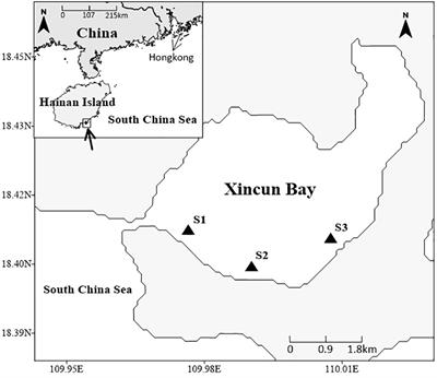 Identification of food sources in tropical seagrass bed food web using triple stable isotopes and fatty acid signatures